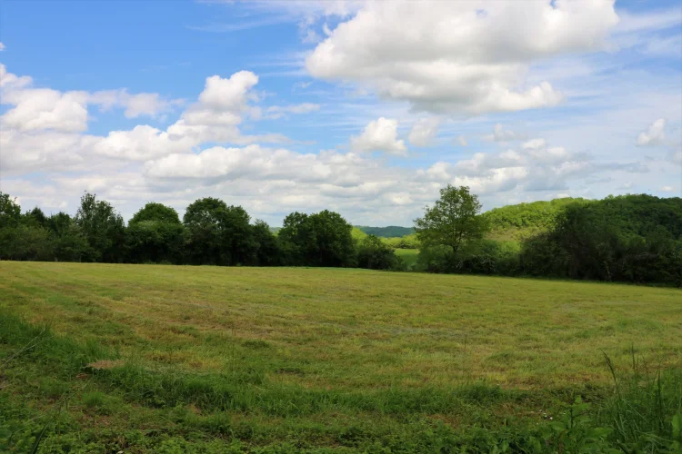 Renovated House with Equestrian Facilities, in a Rural Setting, Outbuildings and 8,327 m² of Land photo 3