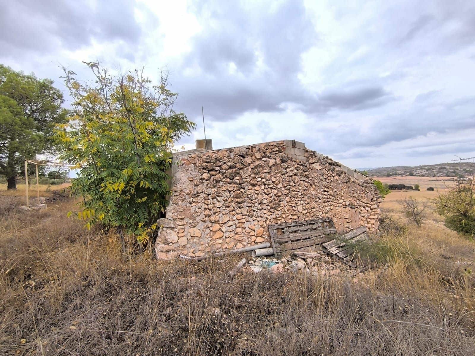 Finca/Country House for sale in Yecla, Murcia photo 3