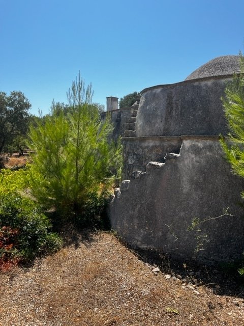 1 bedroom trulli, 15 m² Carovigno, Brindisi (province) Salento photo 3
