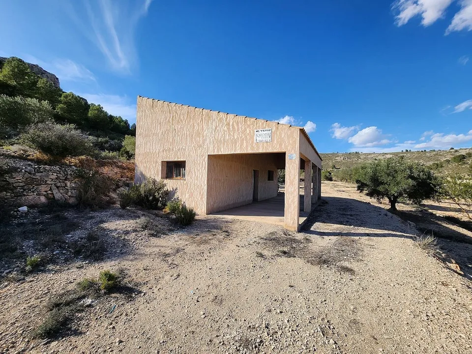 Alicante Dream Property  photo 3