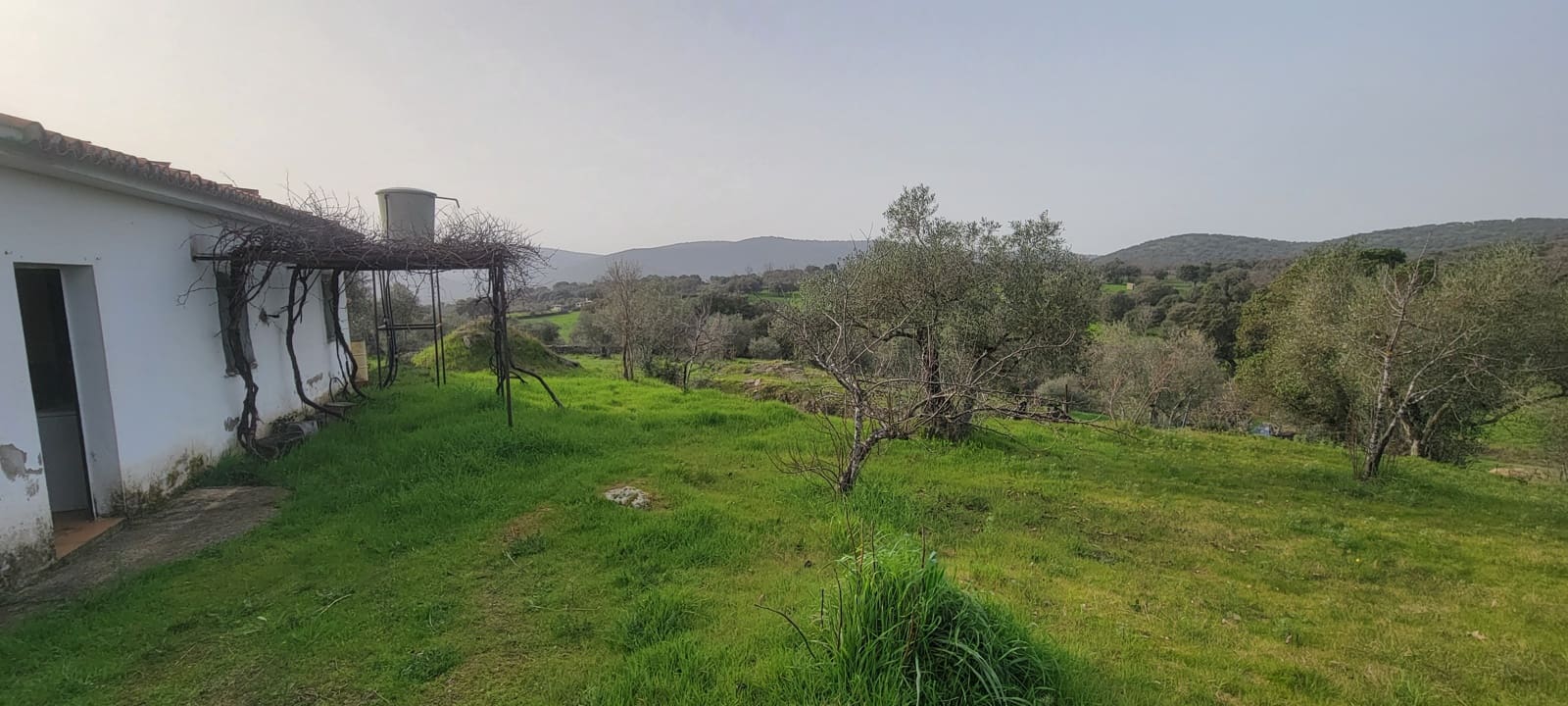 Finca/Country House for sale in Garciaz, Cáceres photo 3