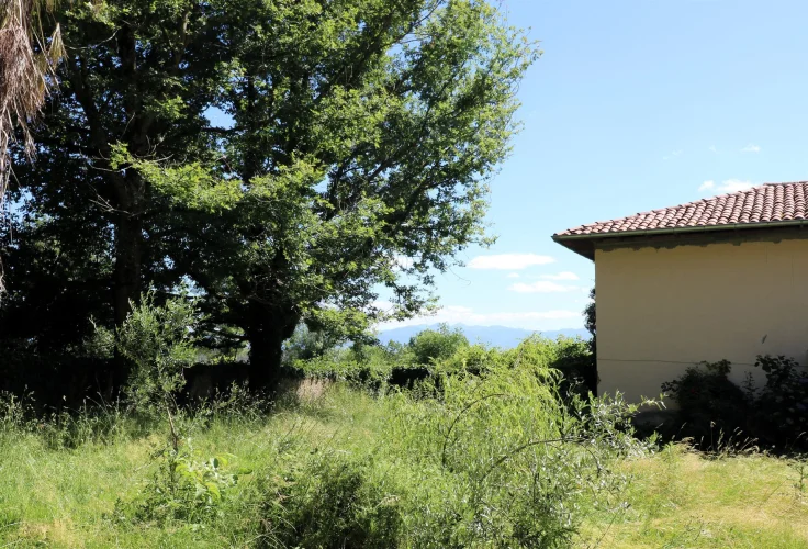 Authentic Country House, Outbuildings, on 5632 m² of Land photo 2