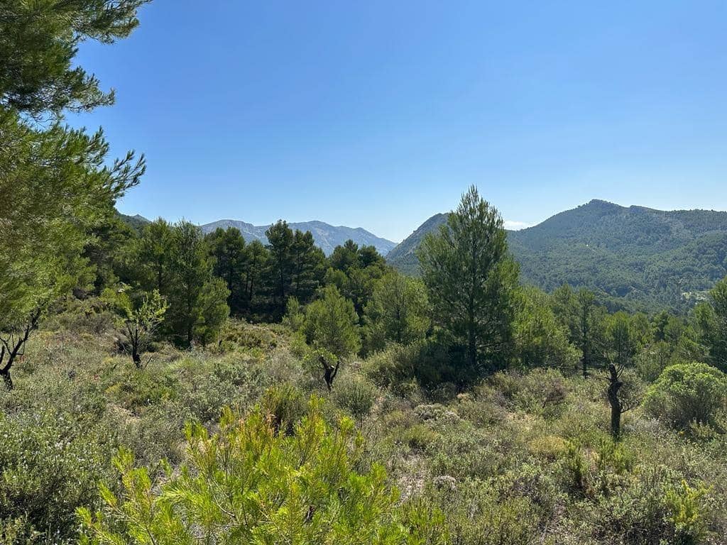Finca/Country House for sale in Confrides, Alicante photo 4