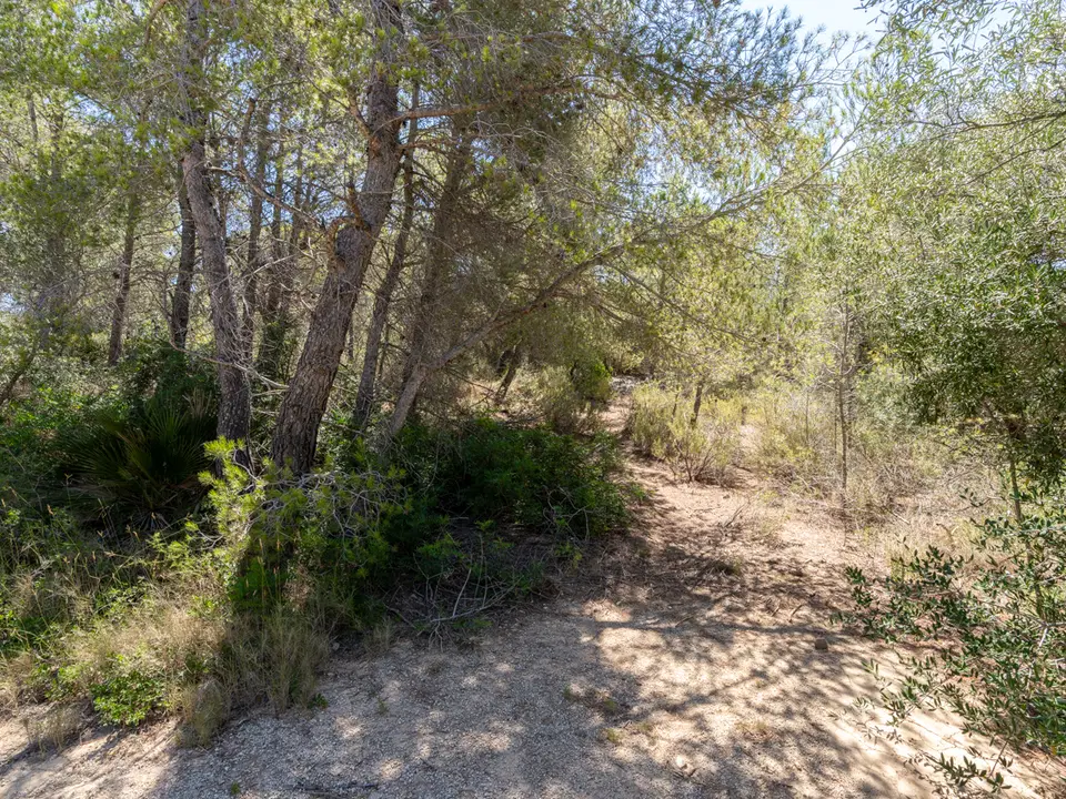 MAS CATALAN RURAL PROPERTIES S.L.U. photo 5