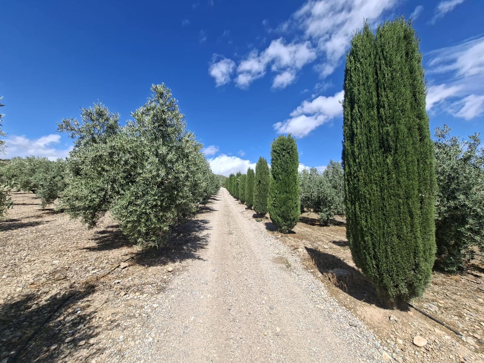Mobile Home for sale in Freila, Granada photo 4