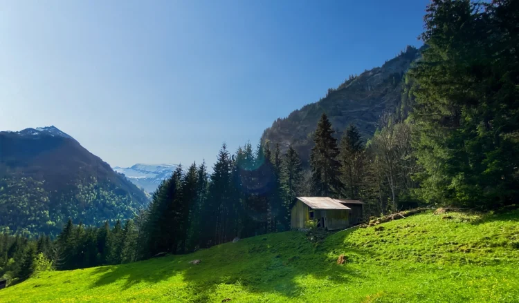 Alpine Chalet Benefits from an Approved Building Permit in Sixt-Fer-a-Cheval photo 2