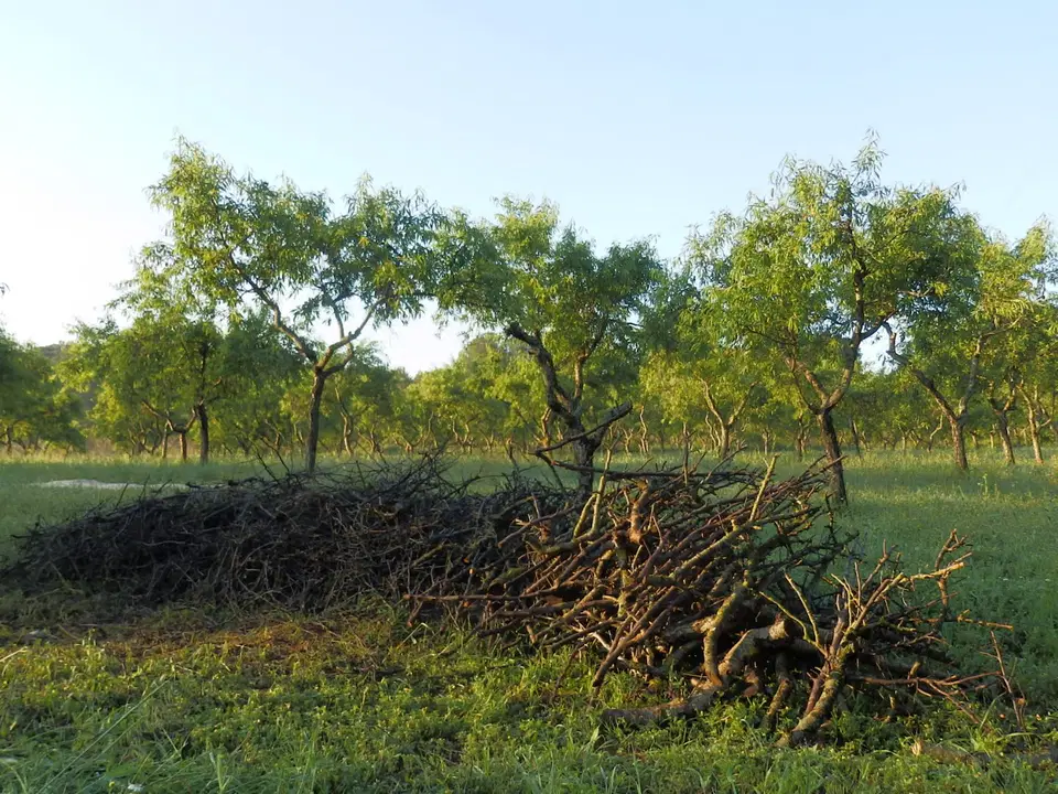 Finca in Miravet, Tarragona province photo 5