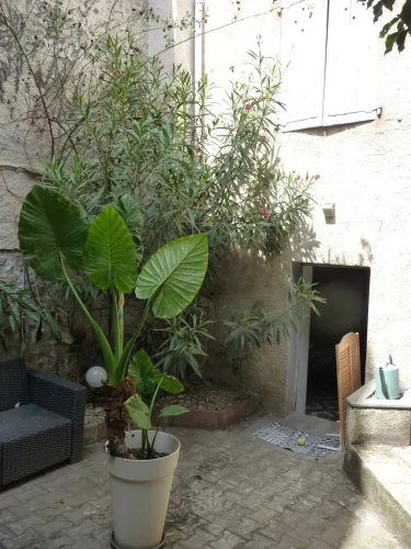 Montbrison Town Centre 'A Little Corner of Paradise' Townhouse photo 2