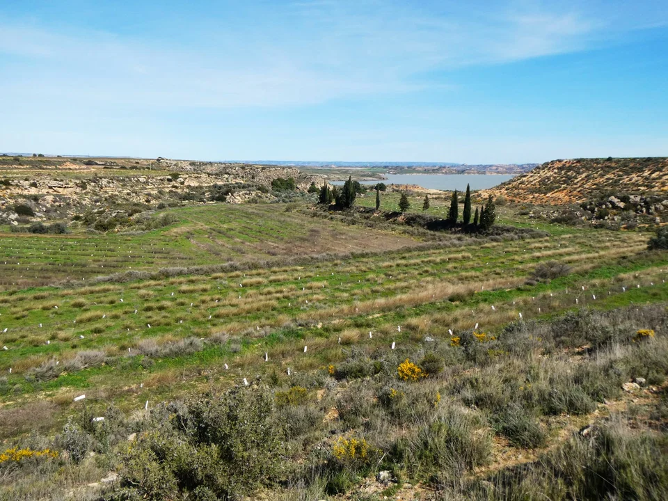 Finca in Caspe, Zaragoza province photo 3