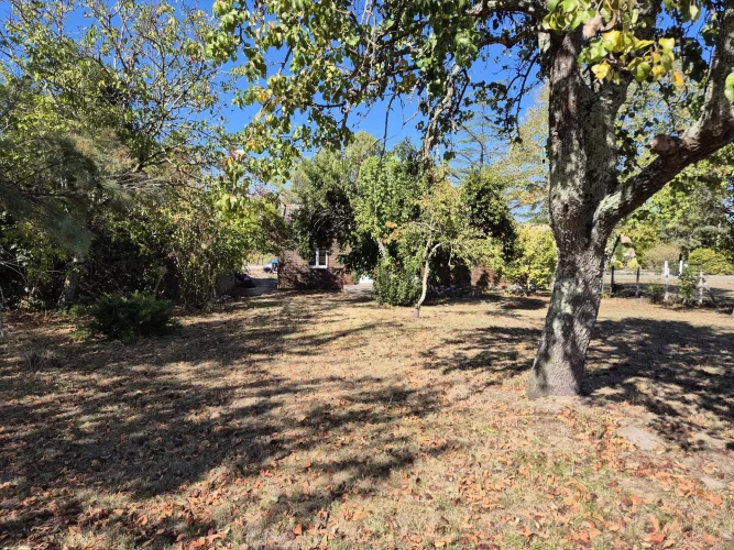 Detached House, 3 Bedrooms, Garage and Enclosed Garden on a Wooded Plot of 1,600 m² photo 2