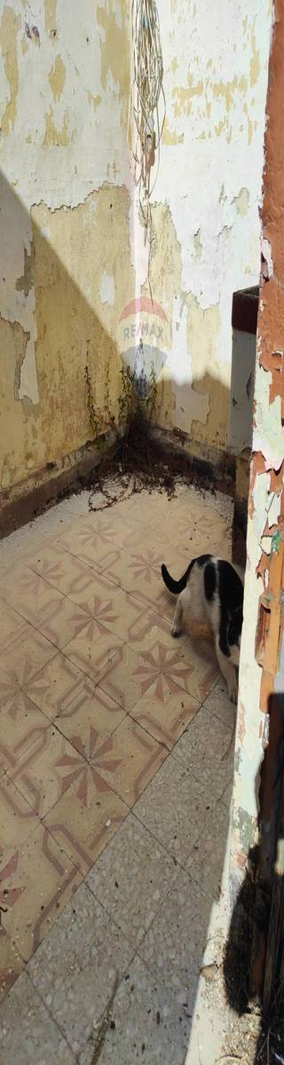 Property in Monreale photo 5