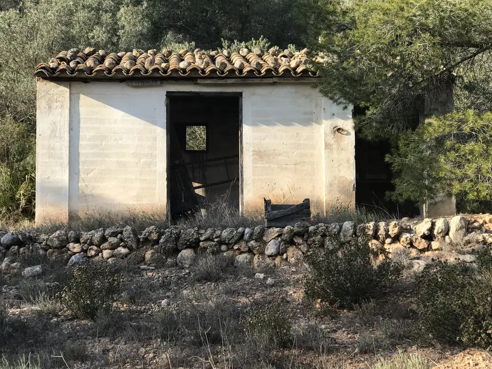 Catalancasas