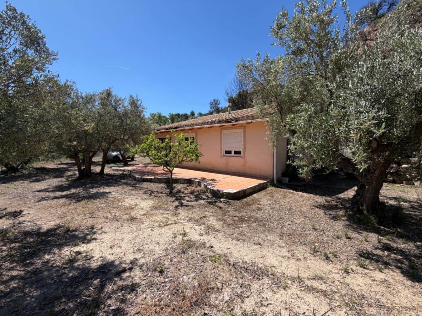 Finca/Country House for sale in Alcoleja, Alicante photo 2