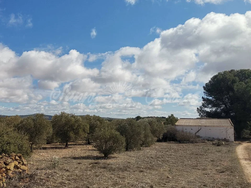 Country house in Yecla, Murcia province photo 2