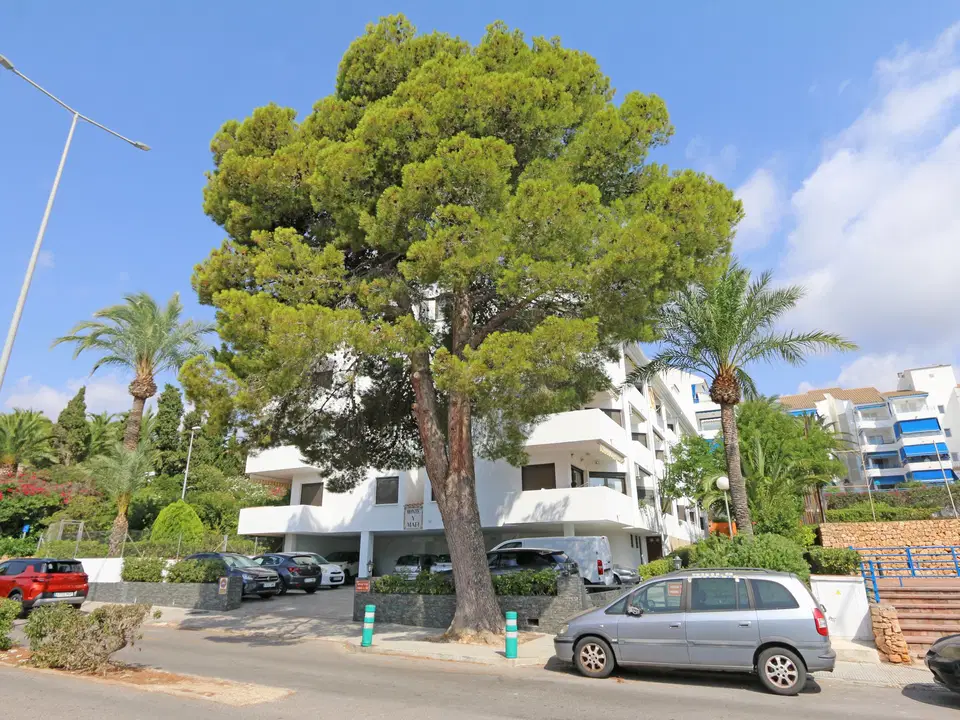 Promociones Inmobiliarias EUROHORIZON photo 2