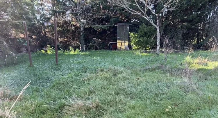 House to Renovate with Barn and Garden photo 4