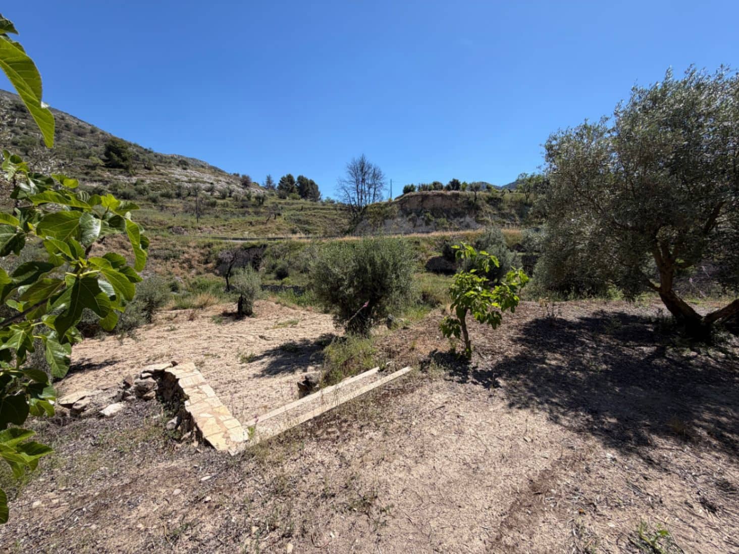 Finca/Country House for sale in Alcoleja, Alicante photo 4