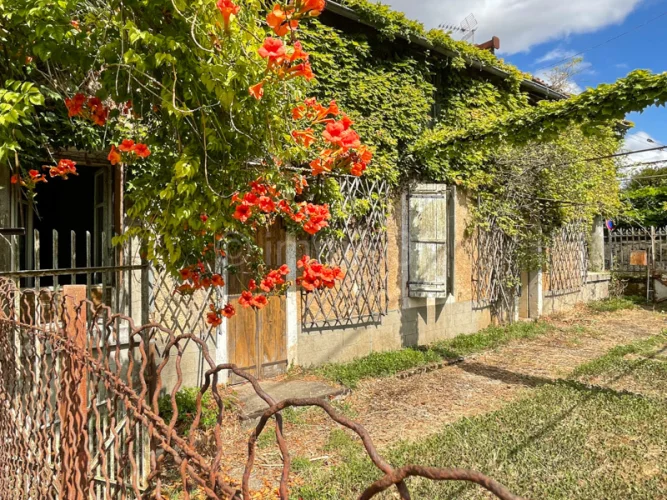 2 Stone Village Houses to Renovate
