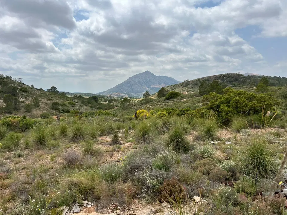  ALICANTE MARAVILLAS