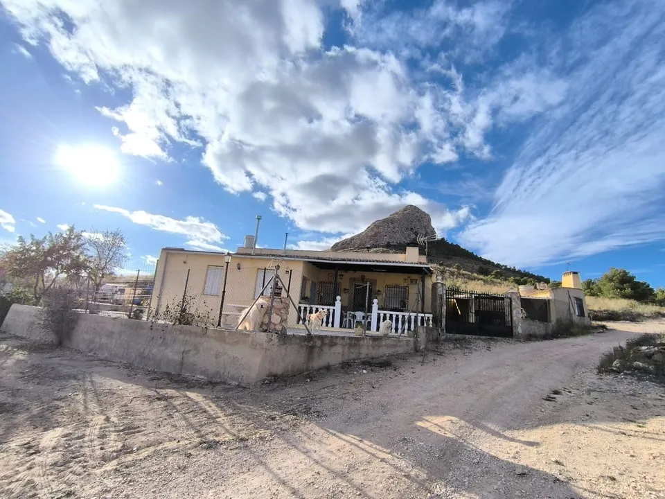 Stratus International Properties photo 2
