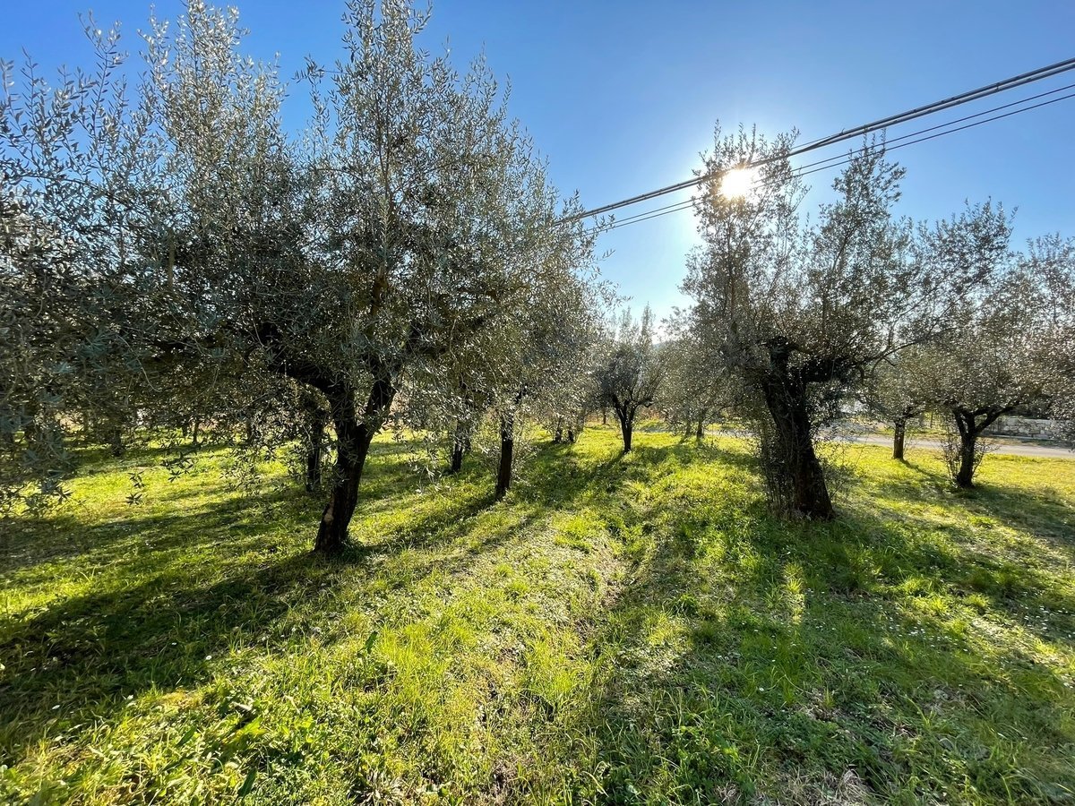 2 bedrooms detached house, 90 m² Arpino, Frosinone (province) photo 4