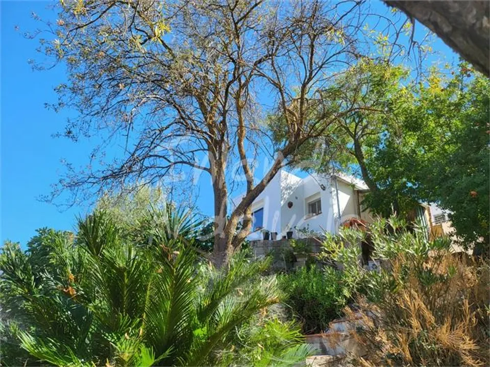 Inland Andalucia photo 3