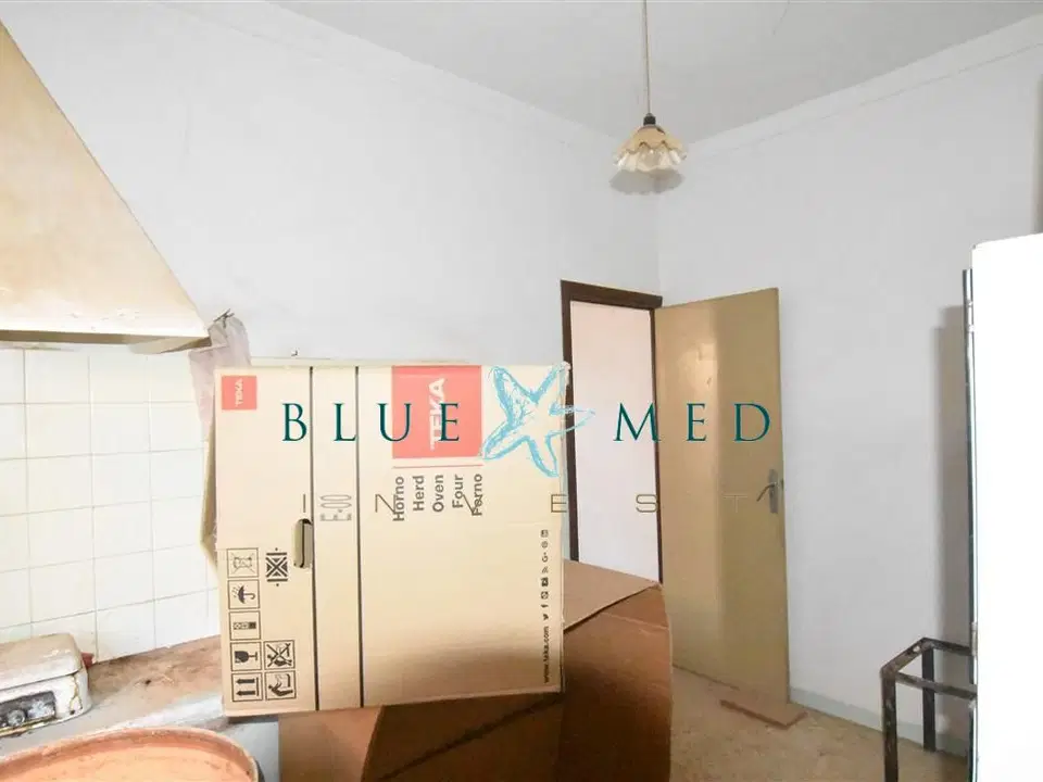 Blue Med Invest photo 4