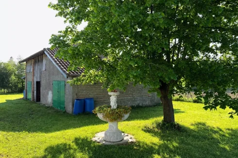 Single Storey House Needing Modernisation photo 2
