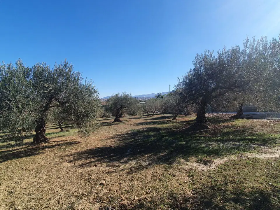 Land in Alhaurin El Grande, Malaga photo 4
