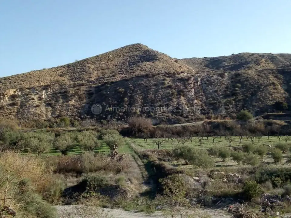 Farm house in Arboleas, Almeria province photo 3