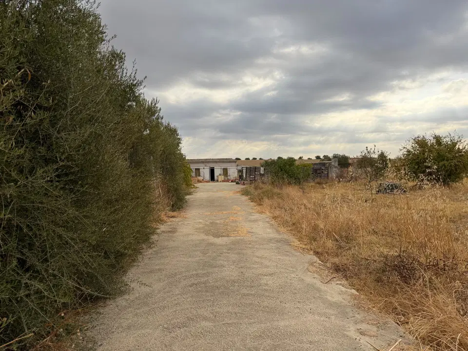 Country house in Trigueros, Huelva province photo 5