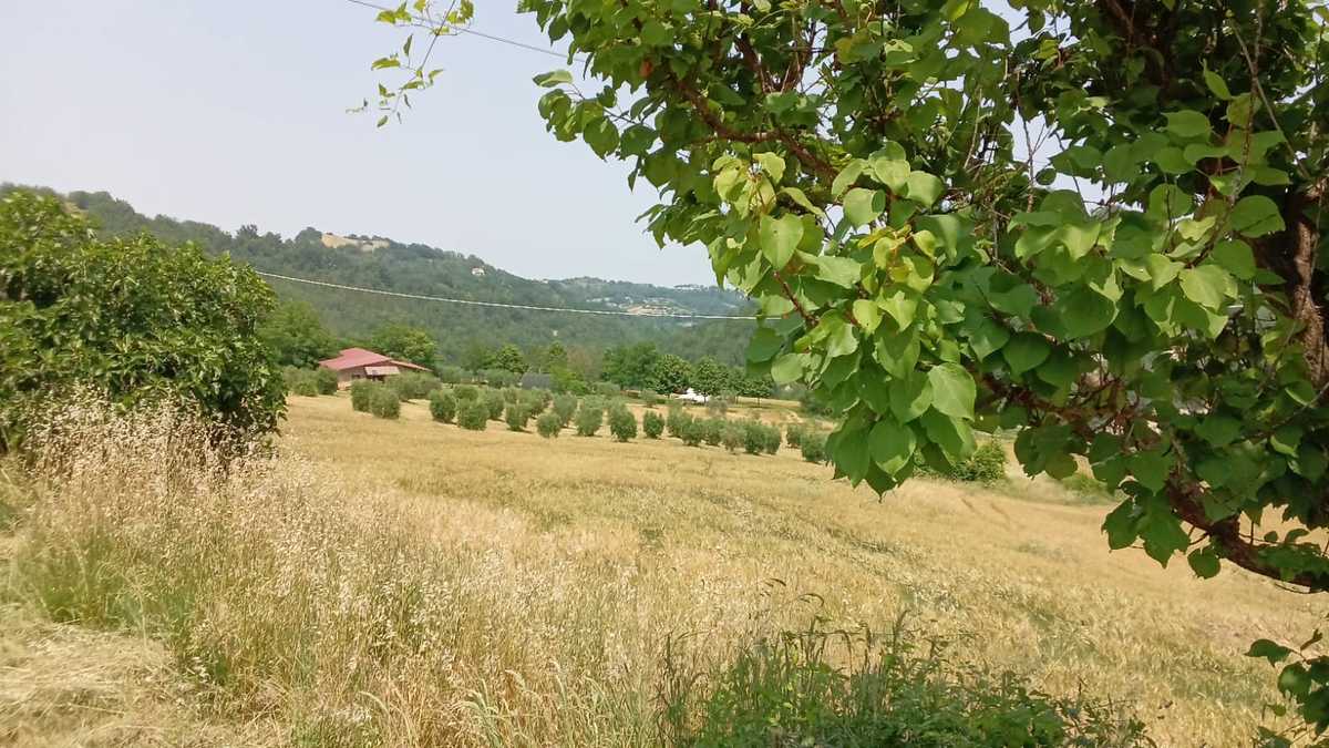 4 bedrooms country house, 250 m² Montelparo, Fermo (province) photo 2