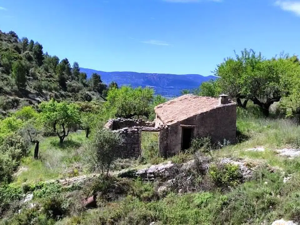 Finca in Benasau, Alicante province photo 4