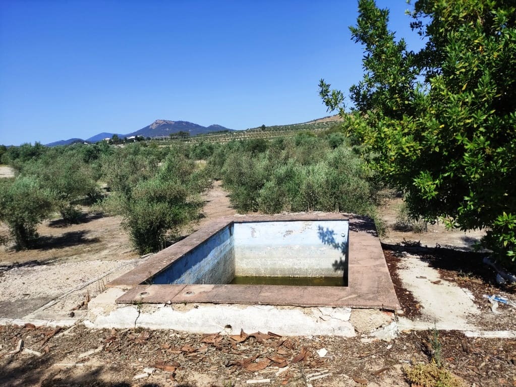 Finca/Country House for sale in Penàguila, Alicante photo 3
