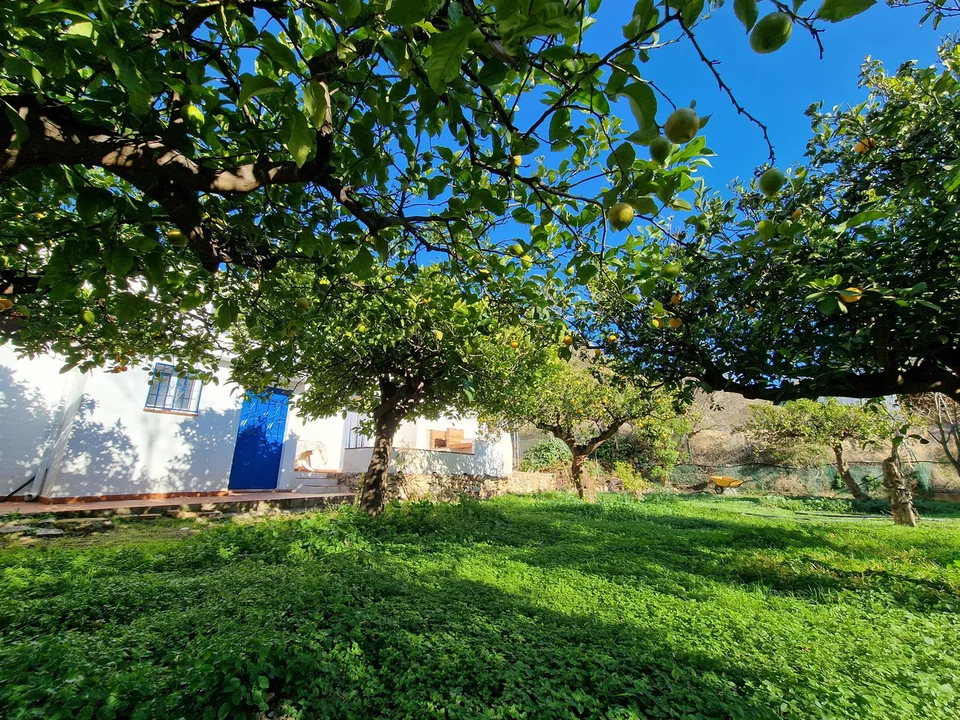 Villa in Alcaucin, Malaga photo 4