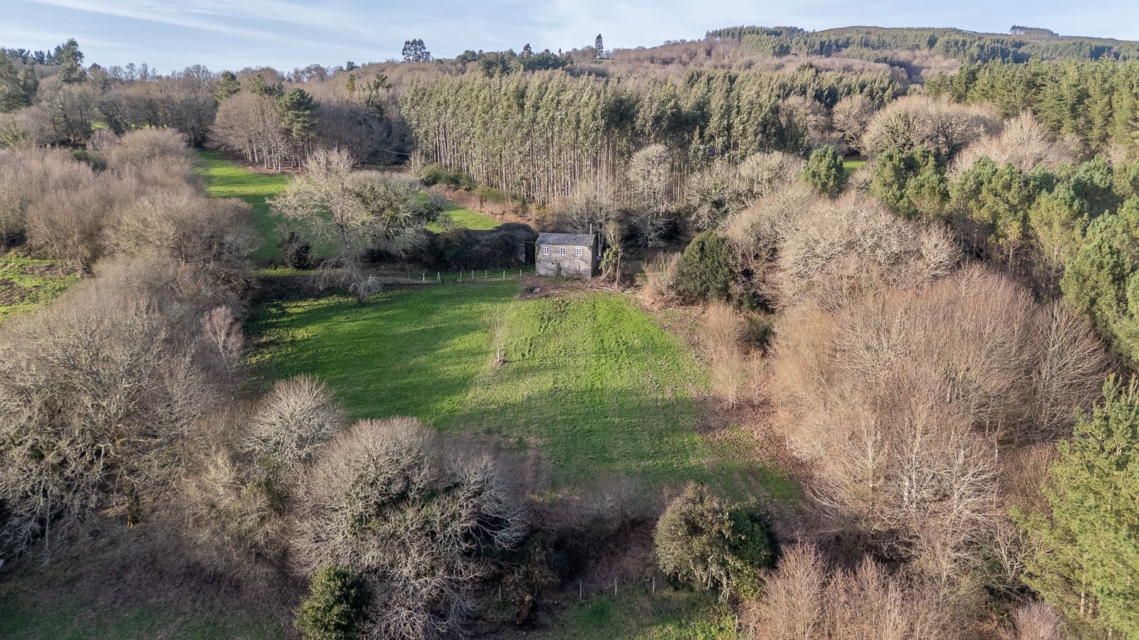 Finca/Country House for sale in Vilalba, Lugo photo 2