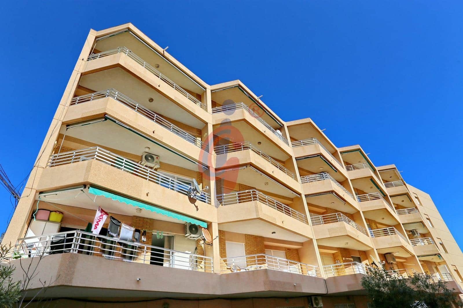 Apartment for sale in Guardamar Playa, Guardamar del Segura, Alicante photo 4