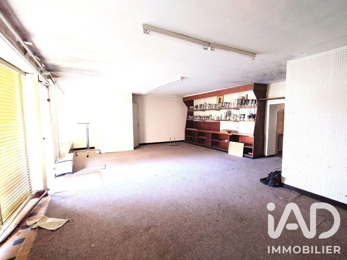 House for sale in Usson-du-Poitou — 4 bedrooms, 177 m²
