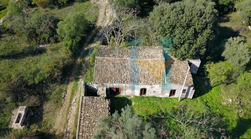 Property in Noto photo 3