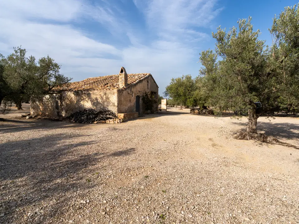 MAS CATALAN RURAL PROPERTIES S.L.U. photo 4