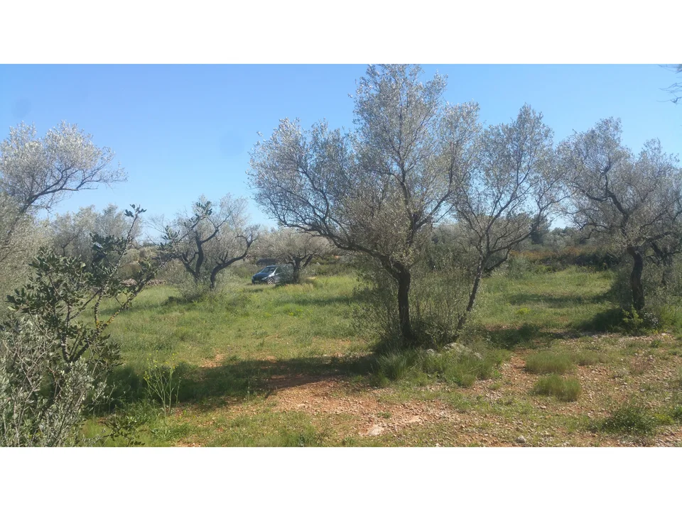 Beach Property in Spain photo 2