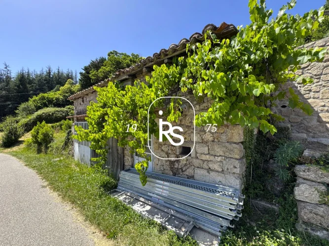 Village House to Renovate with Land, Garage and Workshop photo 4