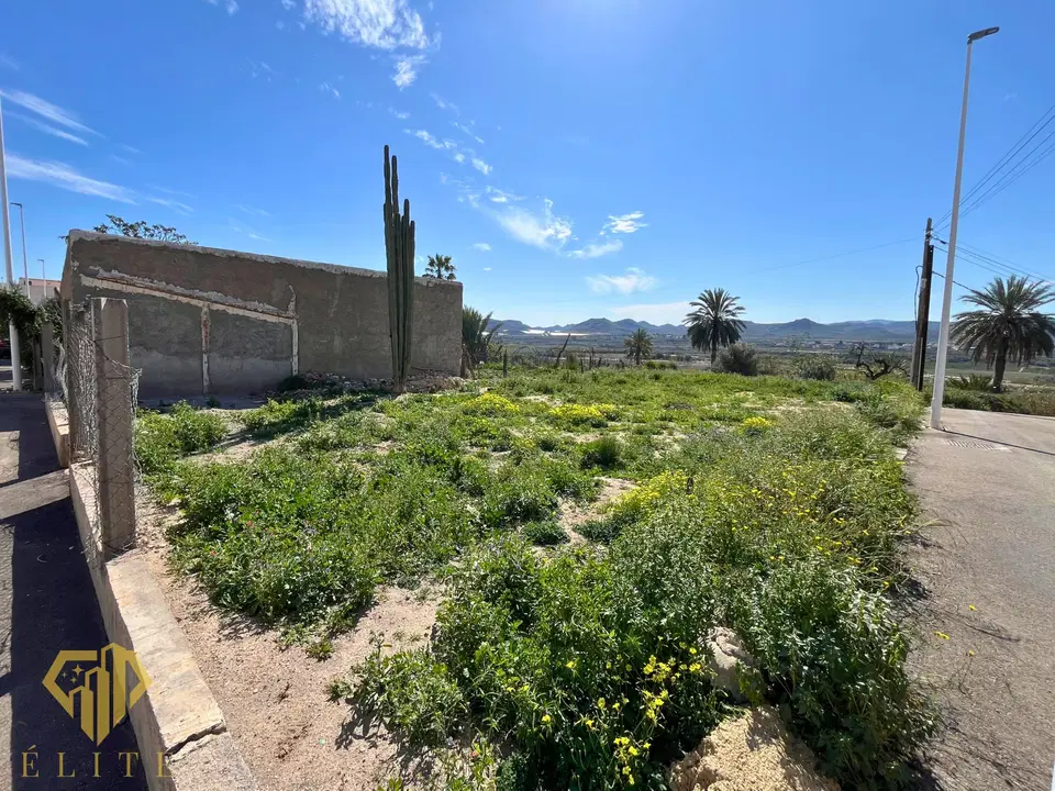 Village house in Huercal-Overa, Almeria province photo 2