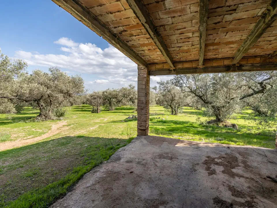MAS CATALAN RURAL PROPERTIES S.L.U. photo 4