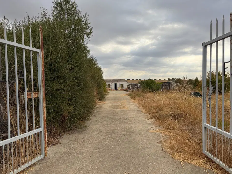 Country house in Trigueros, Huelva province photo 4