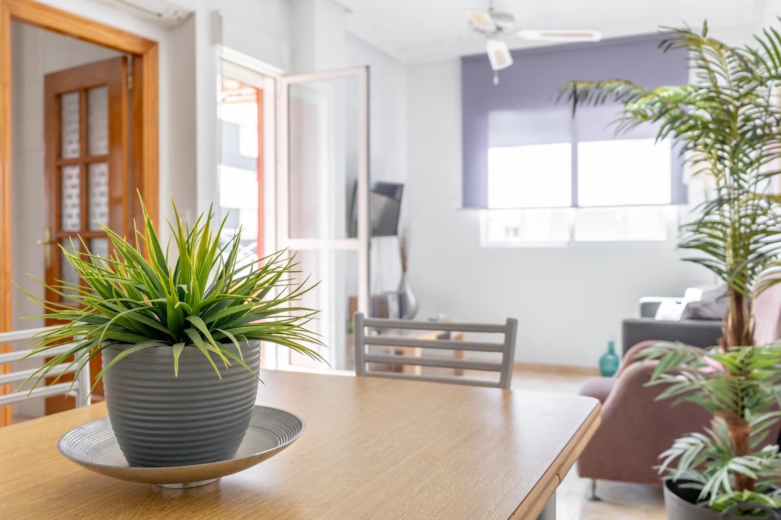 Apartment for sale in Parque de las Naciones, Torrevieja, Alicante photo 4