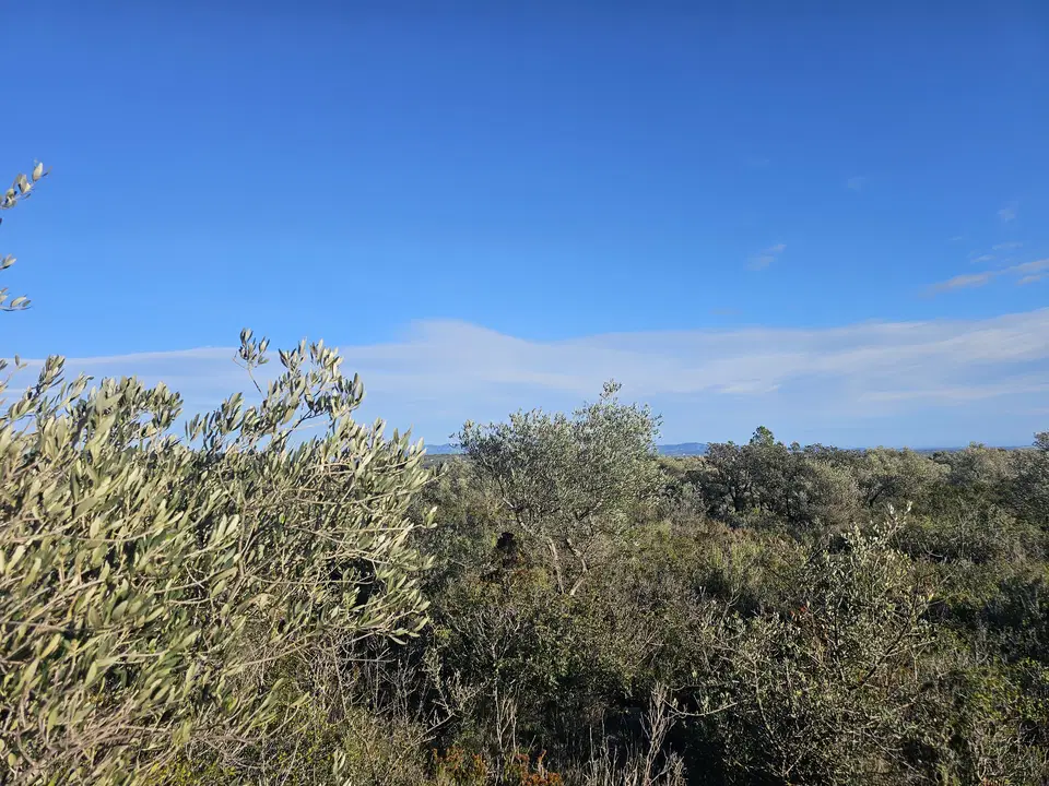 Beach Property in Spain photo 5