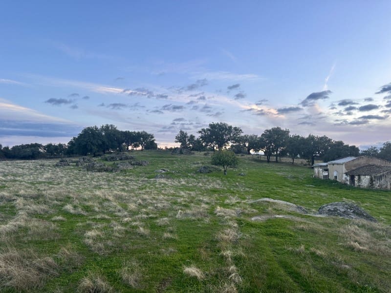 Finca/Country House for sale in San Vicente de Alcántara, Badajoz photo 5