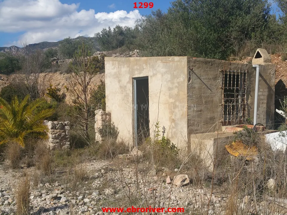 Ebro Real Estate Tortosa  photo 3