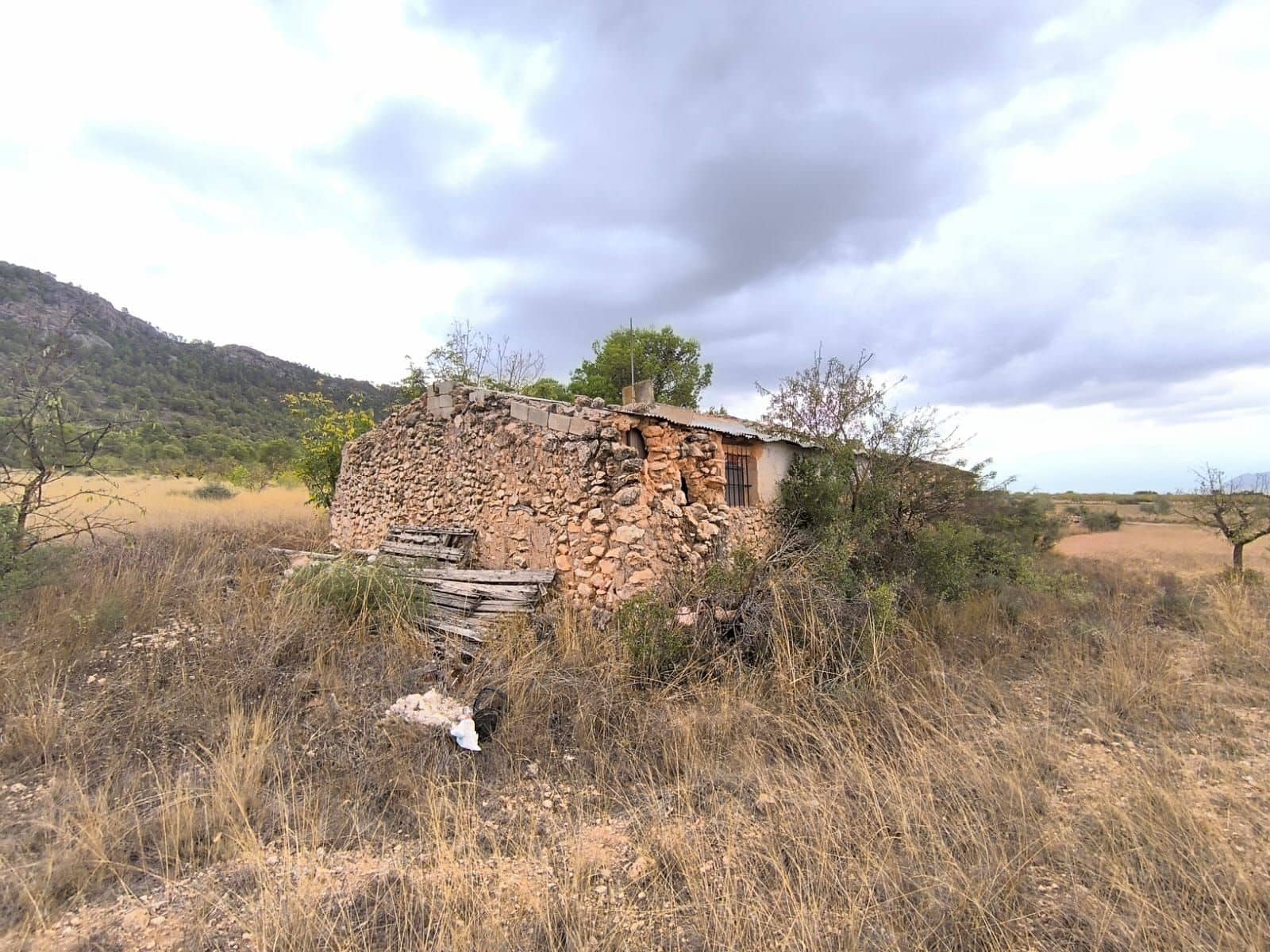 Finca/Country House for sale in Yecla, Murcia photo 2